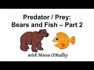 Predator / Prey - Bears and Fish - Part 2 of 2