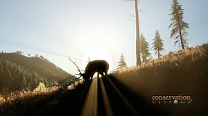 333 reactions · 22 shares | Shane Mahoney chats about the history of wildlife in the United States and Canada in this second installment of Fireside Chats. | Shane Mahoney | Facebook