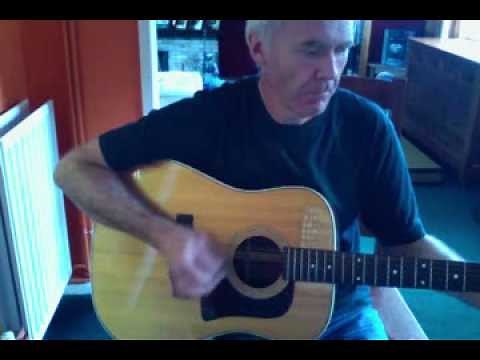 Washburn D25-12 12 string acoustic (1980)