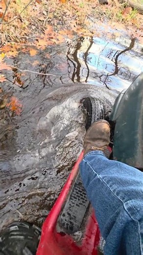 woods mower craftsman dyt4000 swampy mud pit