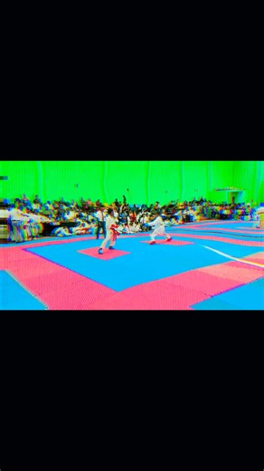 Kumite Performance Insights for Karate Champions