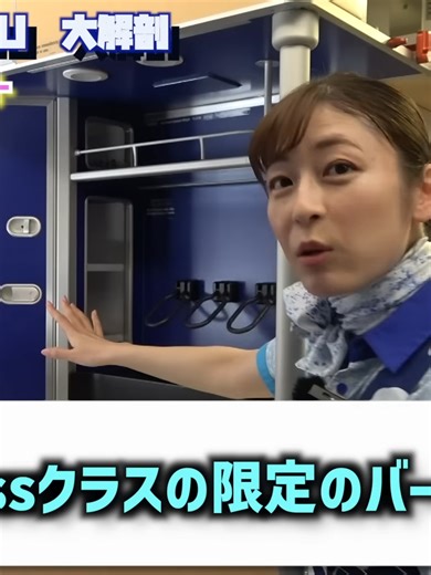 プロ直伝A380パイロットとCAが空飛ぶウミガメFLYING HONUの全てを解説-06#ANA #CA #ana