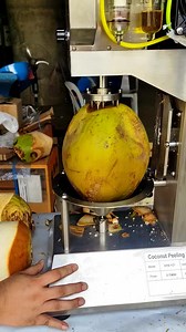 Buko Peeler Machine Demo!! | Payo Dok Alternatibo Machineries | Facebook