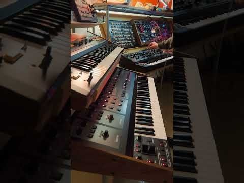 Oberheim OBX8 sounding like an absolute beast