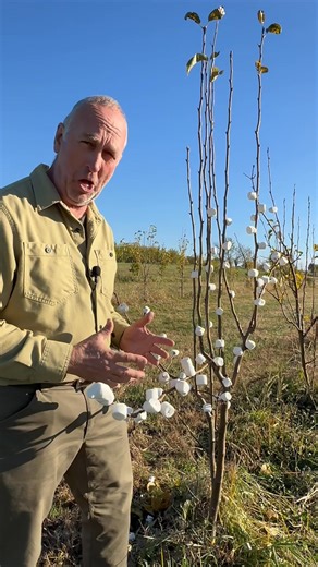 35K views · 587 reactions | Puff Crop Update with Andy Lynd! THIS...