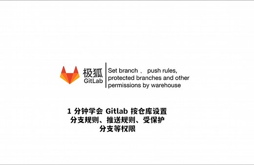1分钟学会GitLab按仓库设置分支规则、推送规则、受保护分支等权限