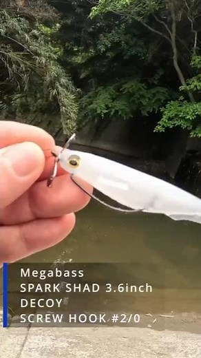 I caught a fish with a Megabass Spark Shad #bassfishing #megabass