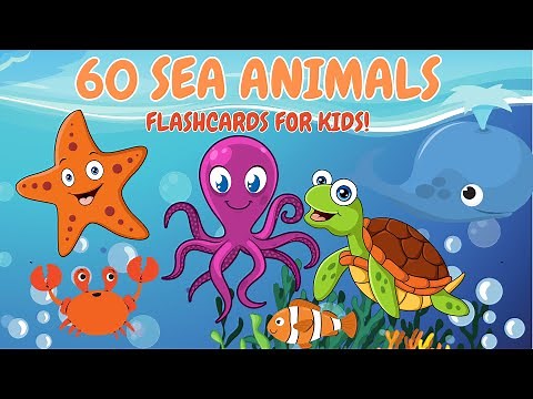 Best Sea Animal Flashcards for Kids & Toddlers 🐠 | Learn 60 Sea Animal Names | Fun Learning Video