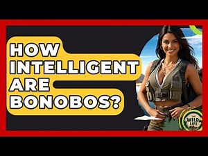 How Intelligent Are Bonobos? - The Wild Life Explorer