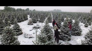 1.5K views · 23 reactions | Holiday traditions begin with a *real* tree.  . McHenry County tree farms are now open, time to start making holiday memories: mchenrycountyliving.com/christmas-trees . #mchenrycountyliving #ilovemchenrycounty #homegrown #ItsChristmasKeepItReal | McHenry County Living | Facebook