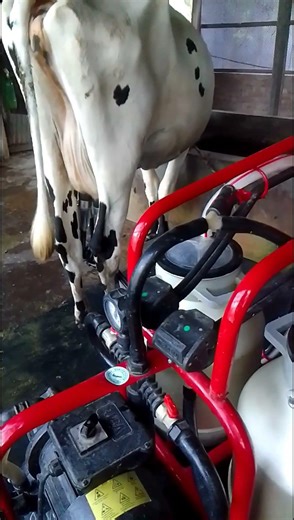 Electric Milking Machine 🐄🐄🐄