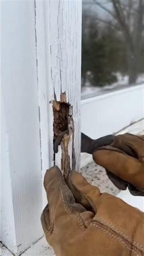 fixing the rotten wood in the house #viral #foryou #diy
