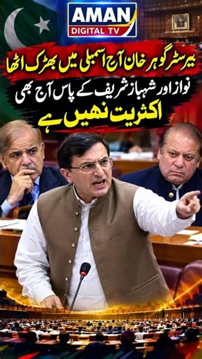 Barrister Gauhar Khan erupted in the assembly today.Nawaz and Shehbaz Sharif still have it today