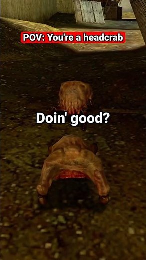 POV: You're a headcrab | Half-Life 2