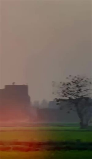 Understanding Malik Pro and Its Features