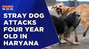 Stray Dog Attacks Four Year Old In Haryana | Isn't It Time To 'Cull' Canine Terror? | Latest Update