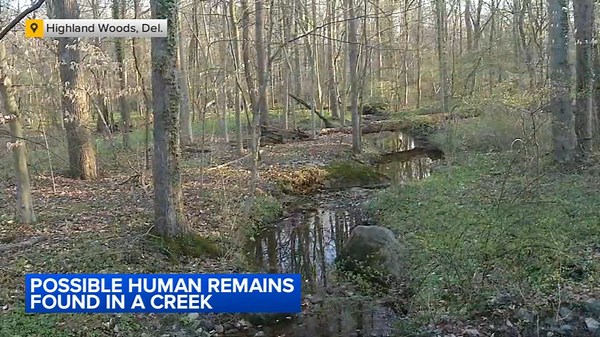 Possible human remains discovered in creek in Wilmington, Delaware