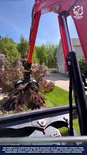 Advanced Tree Felling Machine Work for Residential yard uprooting and chipping
