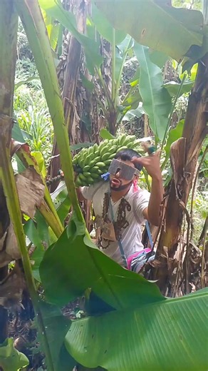 #videoviralitiktok ##humor Parati 😁🤣🤣😁😜 #comedia humor risa funy #anuelberrrr beerrrr cásate contigo paque te agas millonario derrrrrrrrrr con silenciador apoyen jente