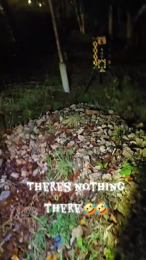Abandoned Exploration: The Mystery of the Armadillo