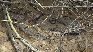 3.3M views · 2.8K reactions | ⚠️  Warning DON’T try this at home....