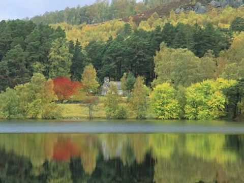 小さい秋見つけた