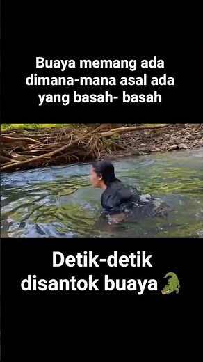 unexpected sudden crocodile attack