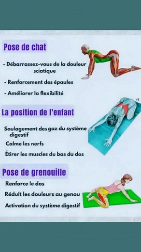 ✅️ Posture du chat (Marjaryasana) : cette posture douce mobilise la colonne vertébrale et améliore la flexibilité du dos. En alternant entre l’arrondi et l’extension du dos, elle détend les muscles lombaires et soulage efficacement les tensions dues à la sciatique. Elle favorise aussi la circulation sanguine dans la région pelvienne, aidant à réduire les douleurs nerveuses. ✅️ Posture de l’enfant (Balasana) : idéale pour calmer le mental et apaiser le corps, cette position aide à relâcher la ten