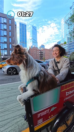 Matty, Kaido, Gojo on Instagram: "Guessing strangers’ pets in the Pet Wagon - Episode 9 - Meet Serena #PetWagon #GuessThePet #dogs #petlovers #newyork"