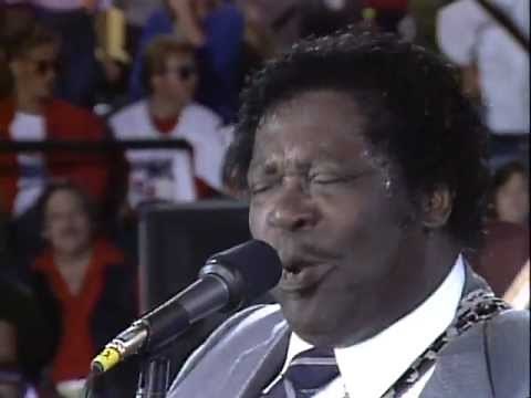 B.B. King - Ain't Nobody's Business (Live at Farm Aid 1985)