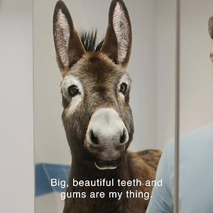 Brushing only targets 25% of your mouth*. Once you’ve finished brushing, give LISTERINE® a swish to help complete the clean with Listerine®. *From study representing teeth surface measurements. | Listerine