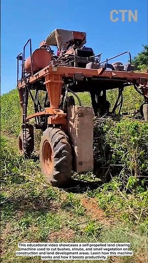 Powerful Land Clearing Machine for Construction Sites
