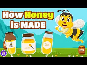 ClevKid | How Honey is Made 🍯 Bee Farm Adventure for Kids, Toddlers & Preschool