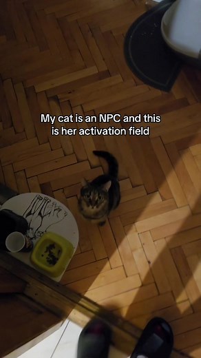 My Cat's NPC Activation Field in Skyrim