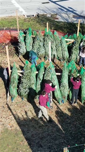 It is Opening Day!!!! Our tree lot is officially alive and buzzing and we could not be more excited. Fresh Michigan trees, the best Scouts around, and thirty five years of the sweetest Fishers tradition. If you have ever bought a tree from us, you know the feeling. The smell, the smiles, the kids running around helping carry trees bigger than they are, and that perfect moment when you find your Christmas tree. Come kick off the season with us. Bring your family, bring a friend, bring the dog. Le