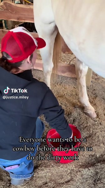 Sheath Cleaning Techniques for Barrel Horses
