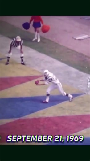 Memorable Long Punts in NFL History