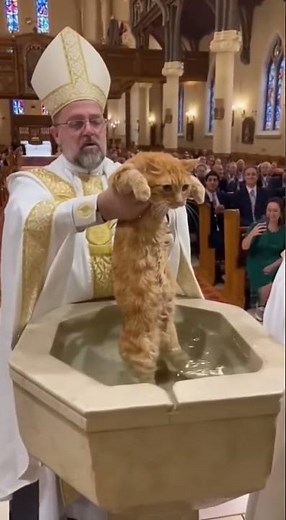 Holy Baptism Gone Hilariously Wrong! 😂