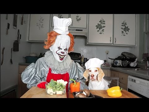 Pennywise & Dog Cook Dinner Together: Funny Dog Maymo