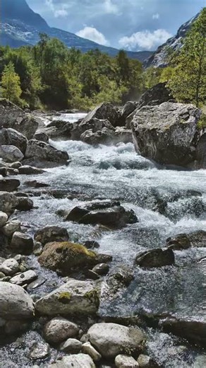 1 like please 🥺🙏