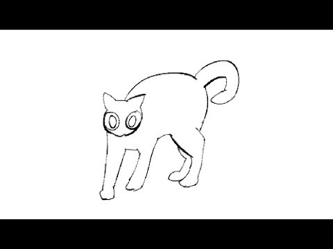 rotoscoping activity for college