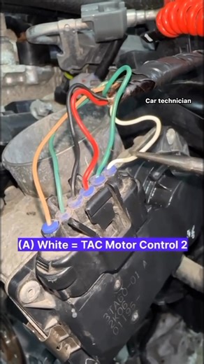 134K views · 1.4K reactions | Throttle body check wiring diagram #reelsviralシfb | car technician | Facebook
