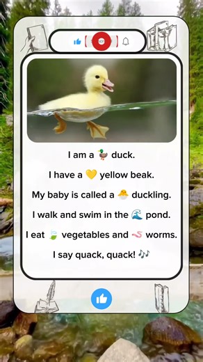 🦆 I'm a Duck! | English Listening & Speaking Practice for All Levels