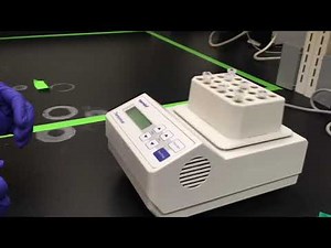 An Introduction to Pull Down Assay