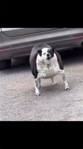 Noob vs pro Vs hacker vs god🔥