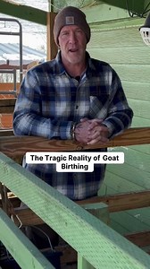 When it comes to goat birthing, the stakes are high, and the heartbreak can be overwhelming. The beauty of new life can quickly turn to tragedy without the right preparation and knowledge. This insightful video dives deep into the often-overlooked realities of goat birthing, highlighting the critical moments when you must act on your own, especially during those late-night emergencies. Knowledge is power, and understanding the birthing process is essential for any goat owner. Discover the key in