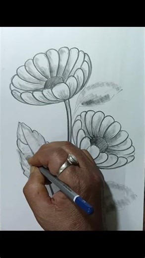 Flower drawing in pencil shade Artist Pradip Pal Tutorial#shortsyoutube #bestyoutuber #youtuberlife