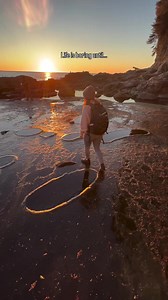 Take the scenic drive up to Port Renfrew for a day of beachcombing and tide-pool exploring at Botanical Beach with your four-legged friends. 🐾 Keep your eyes peeled for a glimpse of Pacific Northwest marine life — from colourful sea stars, anemones, and urchins to the occasional sea lion, gray whale, or even orca passing by offshore. A perfect escape from the city, Botanical Beach is your chance to soak in the breathtaking nature and coastal beauty Greater Victoria has to offer. 📍 Botanical Be