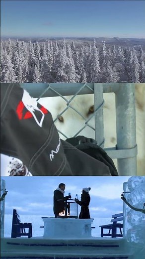 Authentic Quebec Experiences #quebec #snowmobile #vacation