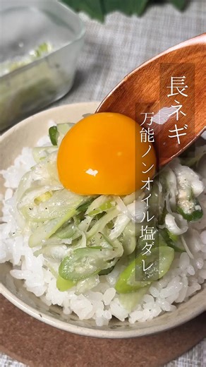 長ネギ 万能ノンオイル塩ダレ